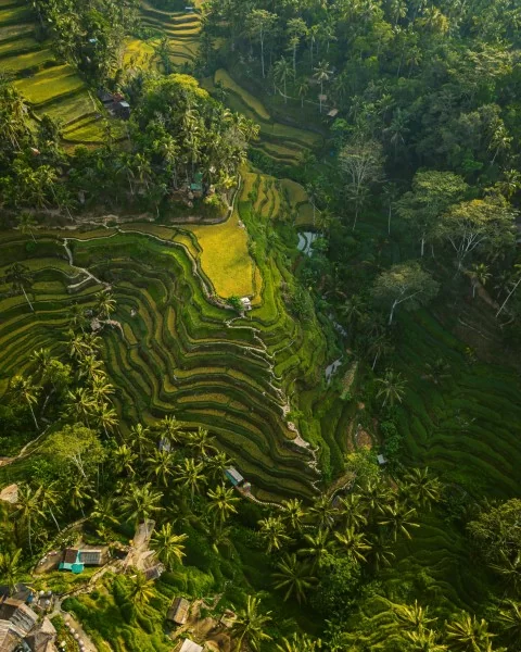 Shades of Nyepi